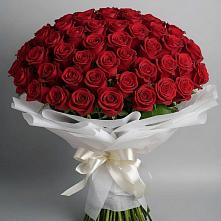 Букет 101 Красная роза Блэк Мэджик в Советском Республики Крым