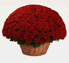 Премиум букет из: Розы #REPLACE_PRED# Советском Республики Крым