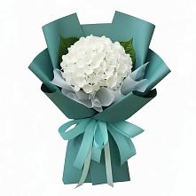 Букет цветов из:  Гортензия #REPLACE_PRED# Советском Республики Крым